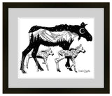 momma moose photo, momma moose print, momma moose drawing, momma moose illustration, mother moose photo, mother moose print, mother moose drawing, mother moose illustration, baby moose photo, baby moose print, baby moose drawing, baby moose illustration, twins moose photo, twins moose print, twins moose drawing, twins moose illustration, colorado mountains illustration,  colorado mountains print, colorado mountains drawing, colorado mountains illustration, arapahoe national forest mountains illustration