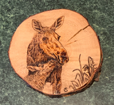 pyrography art : pyrography moose, momma moose and baby moose wood burning, mom and baby moose pyrography, pyrography art, moose wood burning