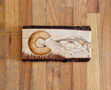 colorado flag, colorado flag with st. mary's glacier, colorado flag with mountain, pyrography art, wood burning art