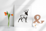 Deer with mountain range and stars. deer artwork, mountains drawing, stars, drawing evergreen trees drawing, colorado artist, colorado art, colorado artwork, dotwork art, elk art, elk drawing, deer silhouette art, buck silhouette art, doe silhouette art