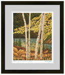 colorado artist, colorado art, colorado artwork, aspen trees art, fall trees art, fall colors art, silverthorne colorado art, aspen tree painting, aspen trees artwork, fall trees artwork, fall trees painting, autumn trees painting, autumn trees artwork, silverthorne artwork, silverthorne painting, 
