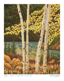 colorado artist, colorado art, colorado artwork, aspen trees art, fall trees art, fall colors art, silverthorne colorado art, aspen tree painting, aspen trees artwork, fall trees artwork, fall trees painting, autumn trees painting, autumn trees artwork, silverthorne artwork, silverthorne painting, 