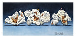 low fat alternative to chips, popcorn painting, popcorn art, adventure sport art, climbing art, kayaking art, skiing art, mountain biking art, popcorn drawing, adventure sport drawing, popcorn adventure art, extreme sports painting, kayaking wall art, skiing illustration, mountain biking decor, rock climbing artwork, popcorn mountain art, whimsical sports painting, water sports wall decor, outdoor adventure art print, adrenaline sports illustration, popcorn themed artwork, active lifestyle art, fun food art