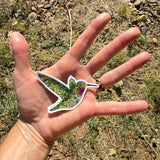 hummingbird sticker, henna hummingbird decal, flight of fancy sticker, vinyl hummingbird sticker, broad-tailed hummingbird, colorado hummingbird decal, floral hummingbird sticker, waterproof sticker, dishwasher safe decal, scratch resistant sticker, laptop hummingbird sticker, car bumper sticker, henna pattern decal, Hummingbird with henna design sticker, hummingbird sticker, hummingbird decal, hummingbird bumper sticker, hummingbird laptop sticker, paisley sticker, Mandelbrot sticker, floral bird sticker