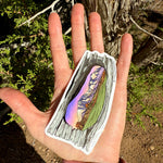 Spanish Peaks sticker, Colorado mountain sticker, nature scene decal, mountain landscape art, hiking adventure sticker, wilderness window sticker, outdoor lover gift, travel nature decal, mountain view sticker, scenic landscape sticker, camping adventure art, Colorado Peaks decal, tree log frame art, rustic mountain sticker, nature lover gift