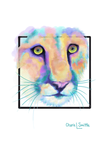 Cougar artwork, cat art, mountain lion art, puma art, watercolor cougar, colorado artist, colorado art, colorado artwork