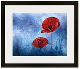 Poppies drawing, poppy painting, poppy art, colorado artist, colorado art, colorado artwork, poppy artwork, valor poppy painting, valor poppy drawing 