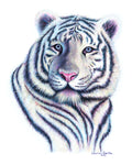 Chinese New Year art, lunar new year art, tiger art, pantone art, bengal tiger art, year of the tiger art, very peri color of the year art, Chinese New Year artwork, lunar new year artwork, tiger artwork, pantone artwork, bengal tiger artwork, year of the tiger artwork, very peri color of the year artwork, tiger drawing, bengal tiger drawing