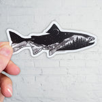 Rainbow Trout Sticker, trout sticker, fish sticker, mountain sticker, fall color sticker, fall sticker, colorado mountain sticker, longs peak sticker, half mountain sticker, glacier gorge sticker, bear lake sticker, estes park sticker, Rainbow Trout decal, trout decal, fish decal, mountain decal, fall color decal, fall decal, colorado mountain decal, longs peak decal, half mountain decal, glacier gorge decal, bear lake decal, estes park decal