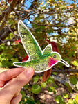 Hummingbird with henna design sticker, hummingbird sticker, hummingbird decal, hummingbird bumper sticker, hummingbird laptop sticker, paisley sticker, Mandelbrot sticker, colorado hummingbird sticker, henna sticker, floral hummingbird, hummingbird with flowers, green hummingbird, broad-tailed hummingbird