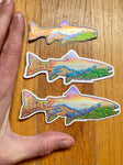 Rainbow Trout Sticker, trout sticker, fish sticker, mountain sticker, fall color sticker, fall sticker, colorado mountain sticker, longs peak sticker, half mountain sticker, glacier gorge sticker, bear lake sticker, estes park sticker, Rainbow Trout decal, trout decal, fish decal, mountain decal, fall color decal, fall decal, colorado mountain decal, longs peak decal, half mountain decal, glacier gorge decal, bear lake decal, estes park decal