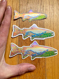 Rainbow Trout Sticker, trout sticker, fish sticker, mountain sticker, fall color sticker, fall sticker, colorado mountain sticker, longs peak sticker, half mountain sticker, glacier gorge sticker, bear lake sticker, estes park sticker, Rainbow Trout decal, trout decal, fish decal, mountain decal, fall color decal, fall decal, colorado mountain decal, longs peak decal, half mountain decal, glacier gorge decal, bear lake decal, estes park decal
