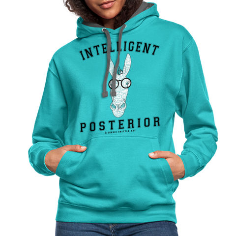 Unisex Hoodie : Intelligent Posterior - scuba blue/asphalt; funny hoodie, funny sweatshirt, math equation hoodie, clever hoodie, smart ass hoodie, intelligent hoodie, Smart Ass Design featuring a burro (aka. donkey), math formulas, math art, #MATHLOVE #MATHLIFE #SMARTASS